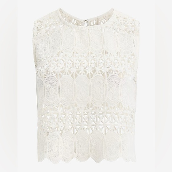 Lace Open Stitch Crew Neck Cropped Tank - Picture 5 of 6